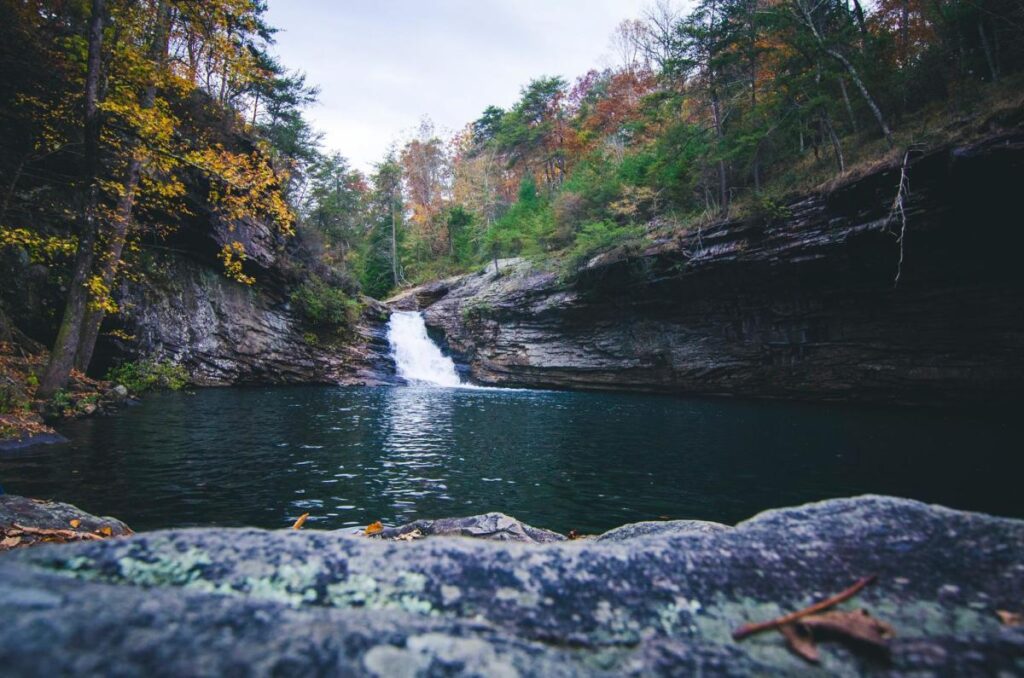 Lula Lake Land Trust Lula Lake Land Trust