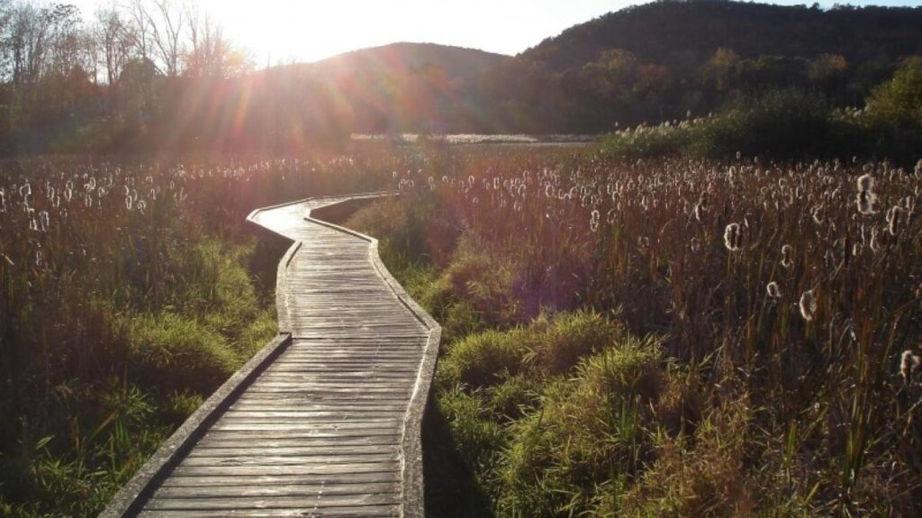 Sussex County's Scenic Hiking Trails Sussex County's Scenic Hiking Trails